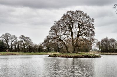 Bare trees by lake against sky