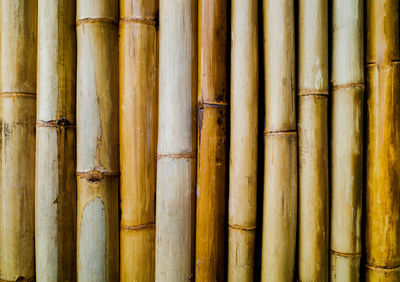 Bamboo patterned curtain textured backdrop background.