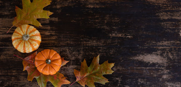 Directly above shot of autumn leaves on table