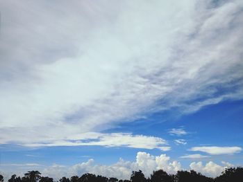Low angle view of trees against sky