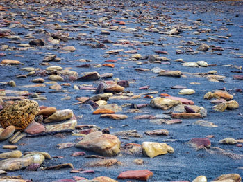 Close-up of pebbles on beach