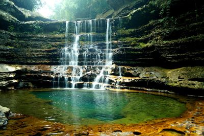Scenic view of waterfall in forest