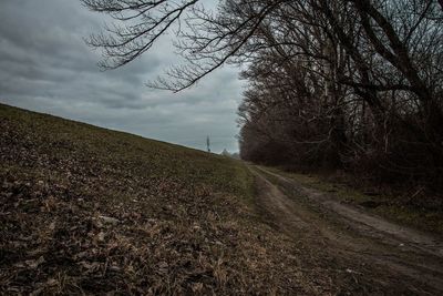 Bare trees on field against sky