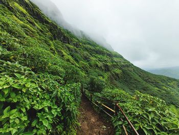 environment