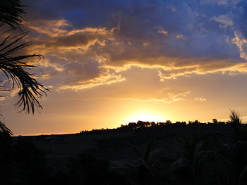 Silhouette trees against sky during sunset