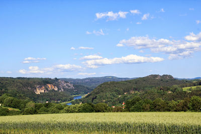 Scenic view of field against sky