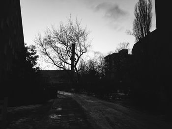 Road passing through bare trees