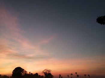 Low angle view of silhouette trees against sky during sunset