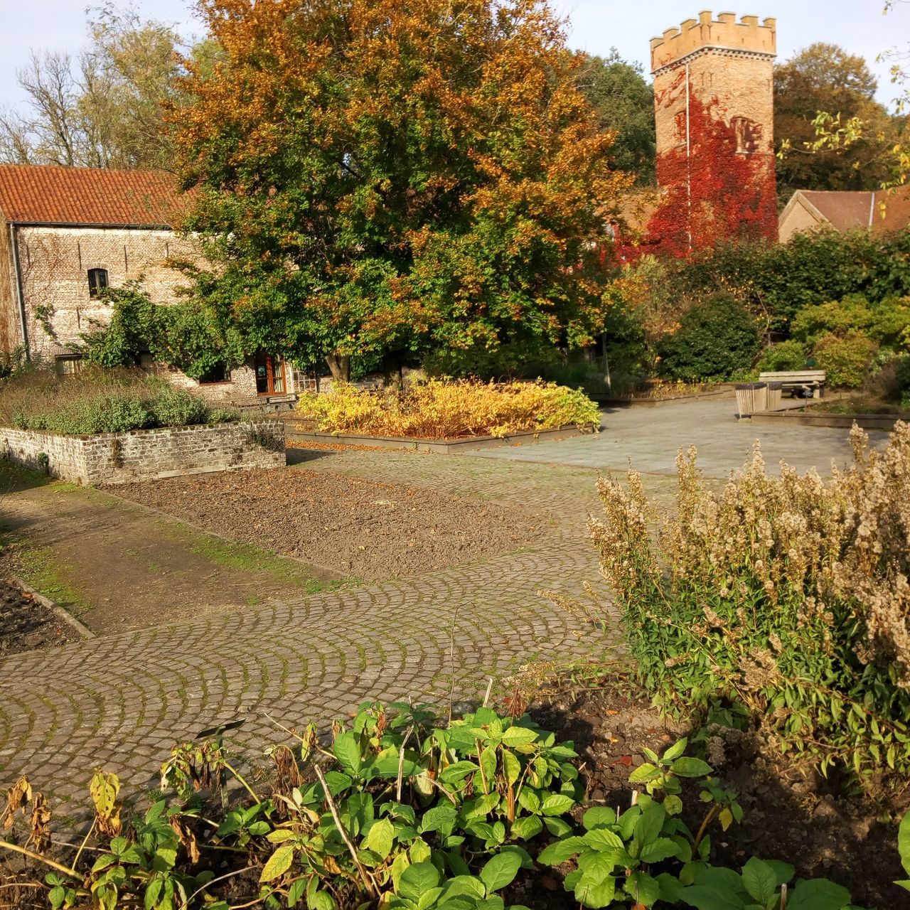 architecture, built structure, plant, water, building exterior, tree, nature, day, no people, autumn, building, growth, outdoors, lake, beauty in nature, leaf, history, the past, sky, change