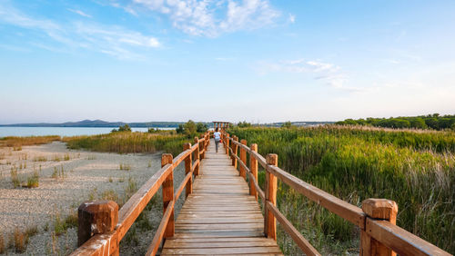 Young woman on wooden pathway in nature park. spring, summer, tourism, travel.