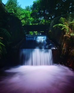 Scenic view of waterfall in forest