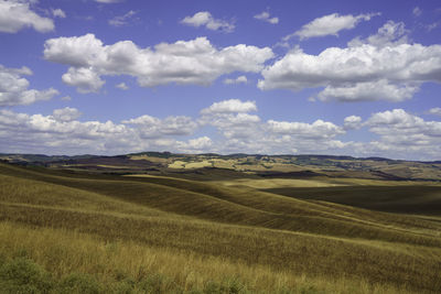 Scenic view of agricultural field against sky