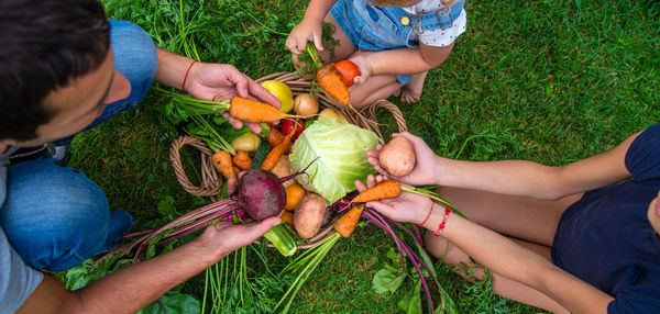 Midsection of woman picking vegetables