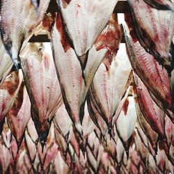 Full frame shot of fish hanging for sale at market