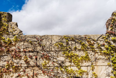 Low angle view of rock formations against sky