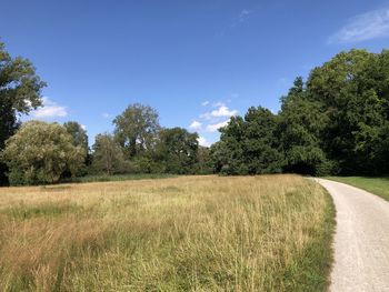 Trees on field against sky