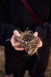 Midsection of woman holding nest