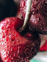 Close-up of wet fruits