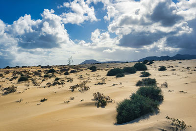Scenic view of desert against sky