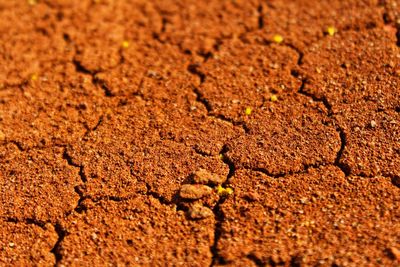 Full frame shot of cracked field