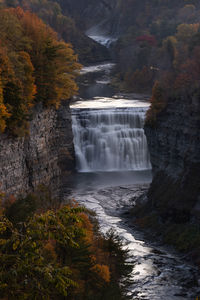 Scenic view of waterfall in forest