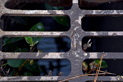 Close-up of rusty metal grate window