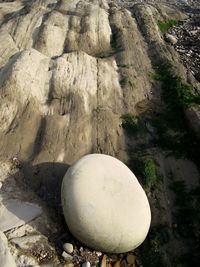 Close-up of circular object on wall