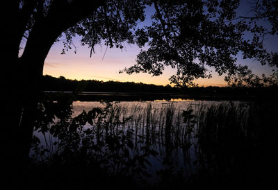 Silhouette trees by lake against sky during sunset