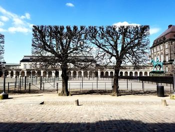 Bare trees by footpath against sky in city