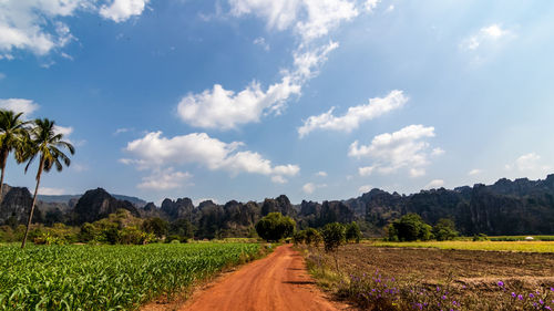 Scenic view of agricultural field against sky