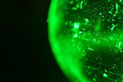 Close-up of water drops on black background