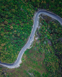 High angle view of road amidst trees