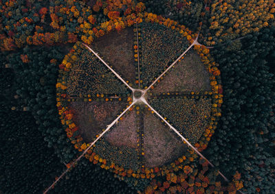 Full frame shot of clock