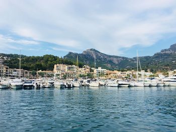 Sailboats moored in harbor