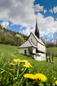 Yellow flowers on field by building against sky