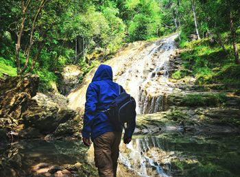 Rear view of man standing by waterfall at forest