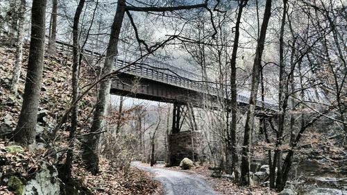 Bare trees along built structures