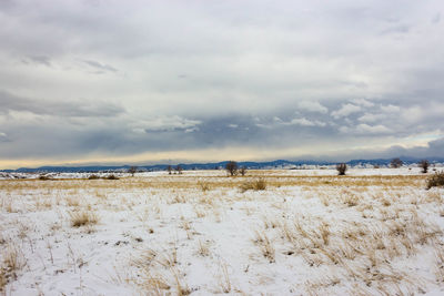 Scenic view of snow field against sky