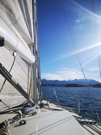 Sailboat sailing on sea against sky