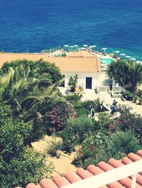 High angle view of plants on beach