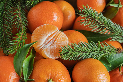 Close-up of oranges