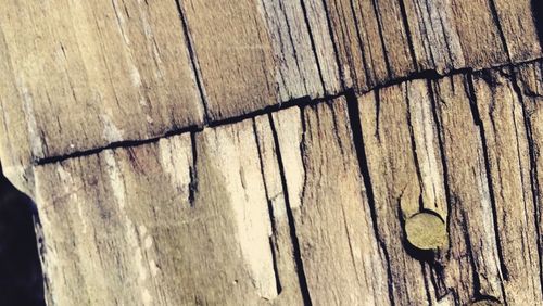 Close-up of wooden plank