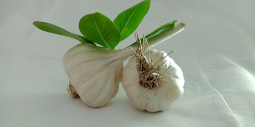 Close-up of garlic on table