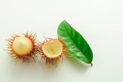High angle view of fruits and leaves on white background