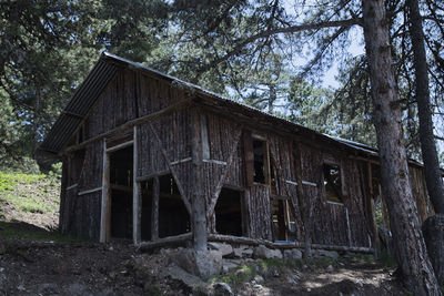 Old wooden house by trees in forest