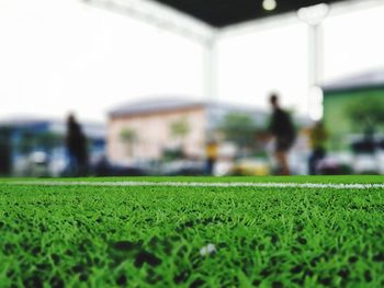 Surface level of green grass on field