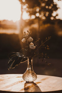 Close-up of plant on table