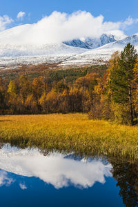 Autumn colors besides small lake in front of snowcovered mountains 