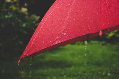 Close-up of wet red umbrella during rainy season