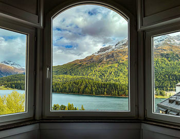 Trees seen through window